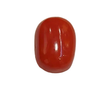 4.13 Carat Natural Coral