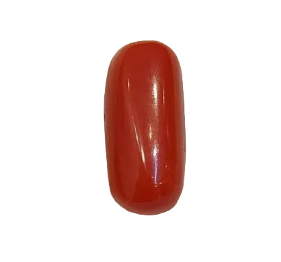 4.14 Carat Natural Coral
