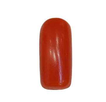 4.17 Carat Natural Coral