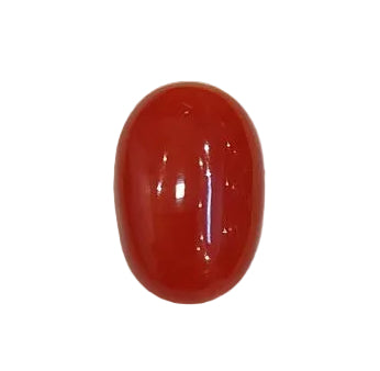 4.19 Carat Natural Coral