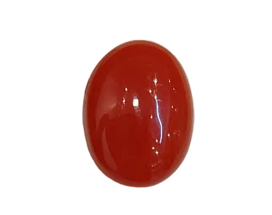 4.19 Carat Natural Coral