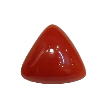 4.48 Carat Natural Coral