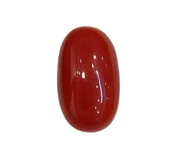 4.66 Carat Natural Coral