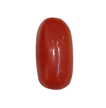 4.73 Carat Natural Coral