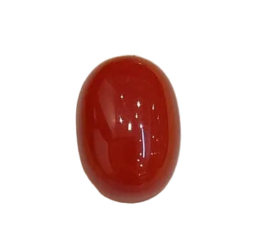 4.76 Carat Natural Coral