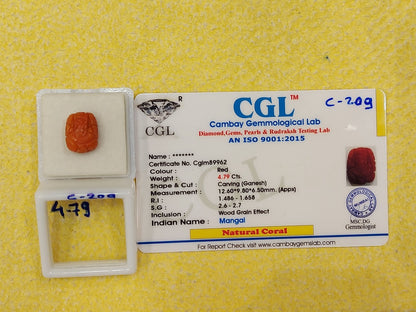 4.79  Carat Natural Coral