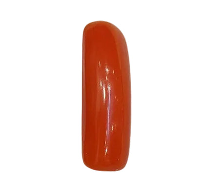 4.80 Carat Natural Coral