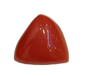 4.84 Carat Natural Coral