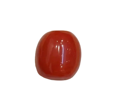 5.20 Carat Natural Coral