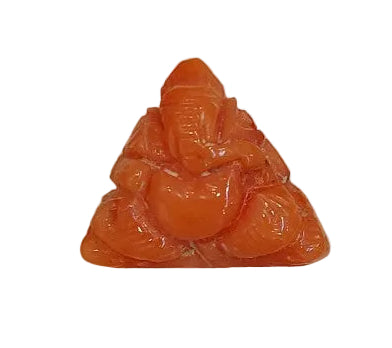 5.41 Carat Natural Coral