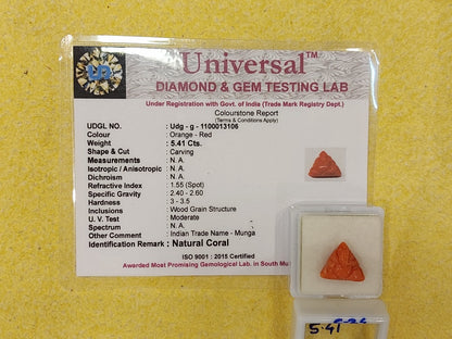 5.41 Carat Natural Coral