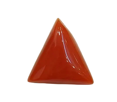 5.53 Carat Natural Coral