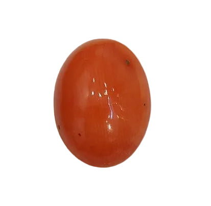 5.60 Carat Natural Coral