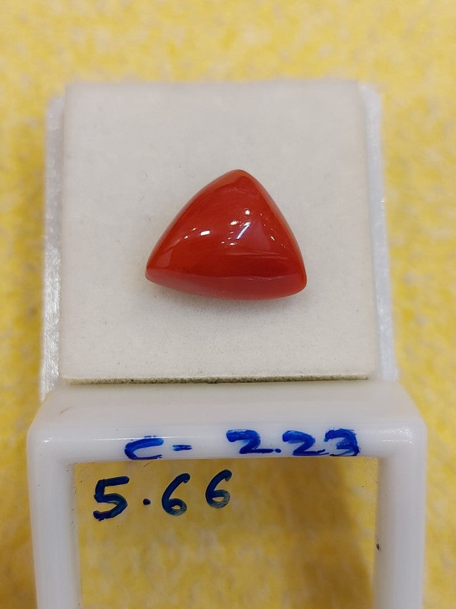 5.66 Carat Natural Coral