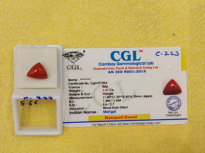 5.66 Carat Natural Coral