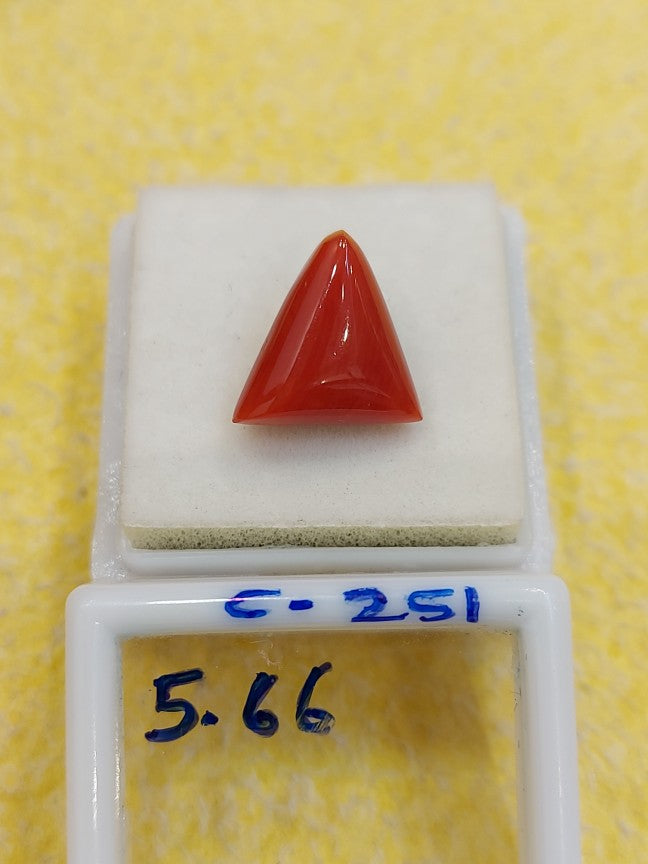 5.66 Carat Natural Coral