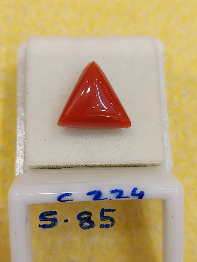 5.85 Carat Natural Coral