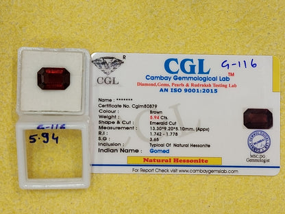 5.94 Carat Natural Garnet