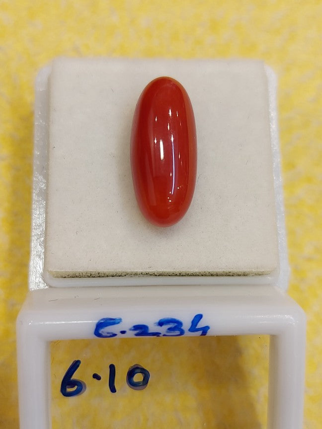 6.10 Carat Natural Coral
