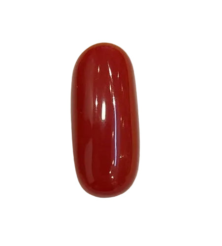 6.56  Carat Natural Coral