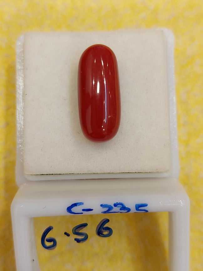 6.56  Carat Natural Coral