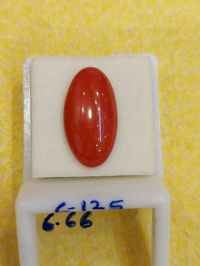 6.66 Carat Natural Coral