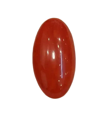 6.66 Carat Natural Coral