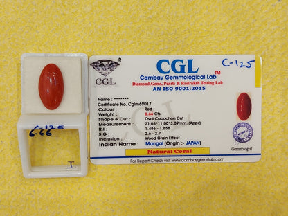 6.66 Carat Natural Coral