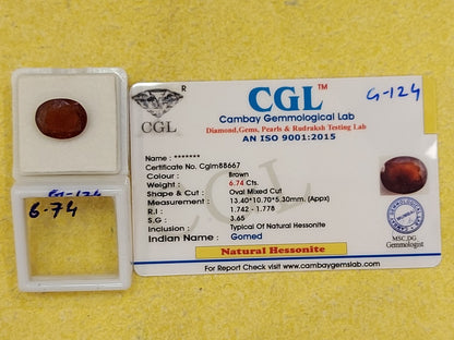 6.74 Carat Natural Garnet