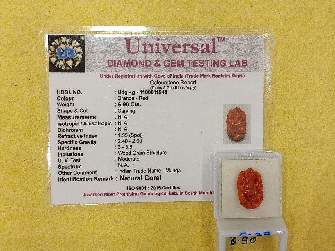 6.90 Carat Natural Coral