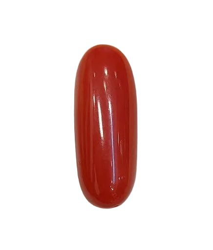 7.12 Carat Natural Coral