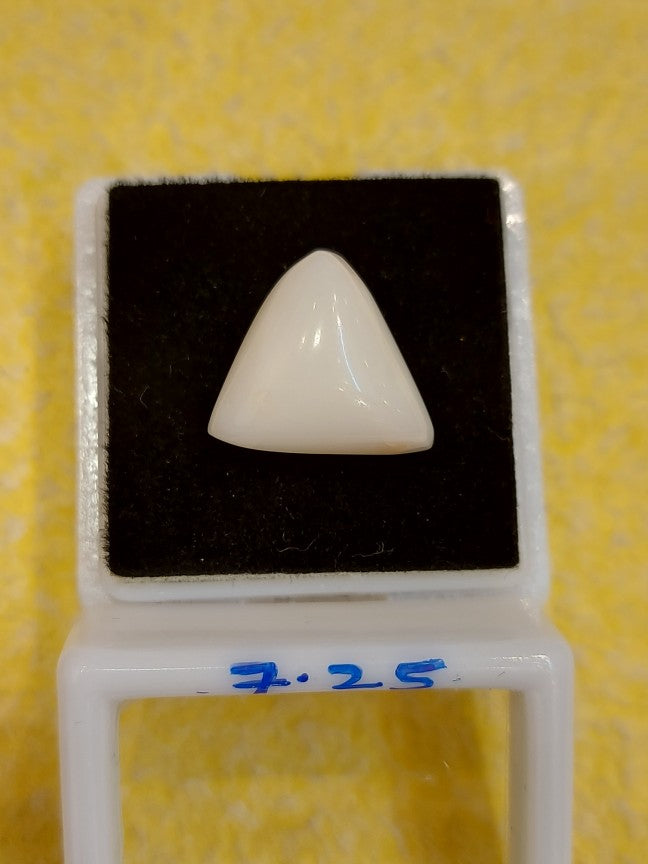 7.25 Carat Natural Coral