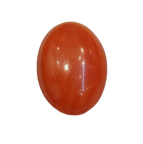 8.43 Carat Natural Coral