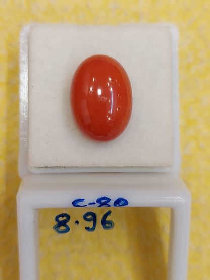 8.96 Carat Natural Coral