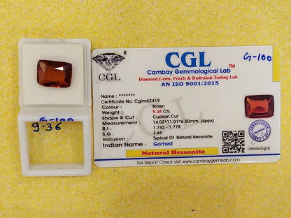 9.36 Carat Natural Garnet