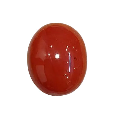9.42 Carat Natural Coral