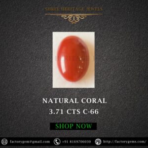 3.71 Carat Natural Japan Coral