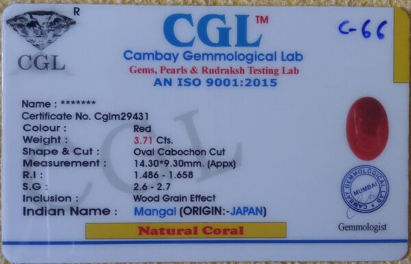 3.71 Carat Natural Japan Coral - Image 2